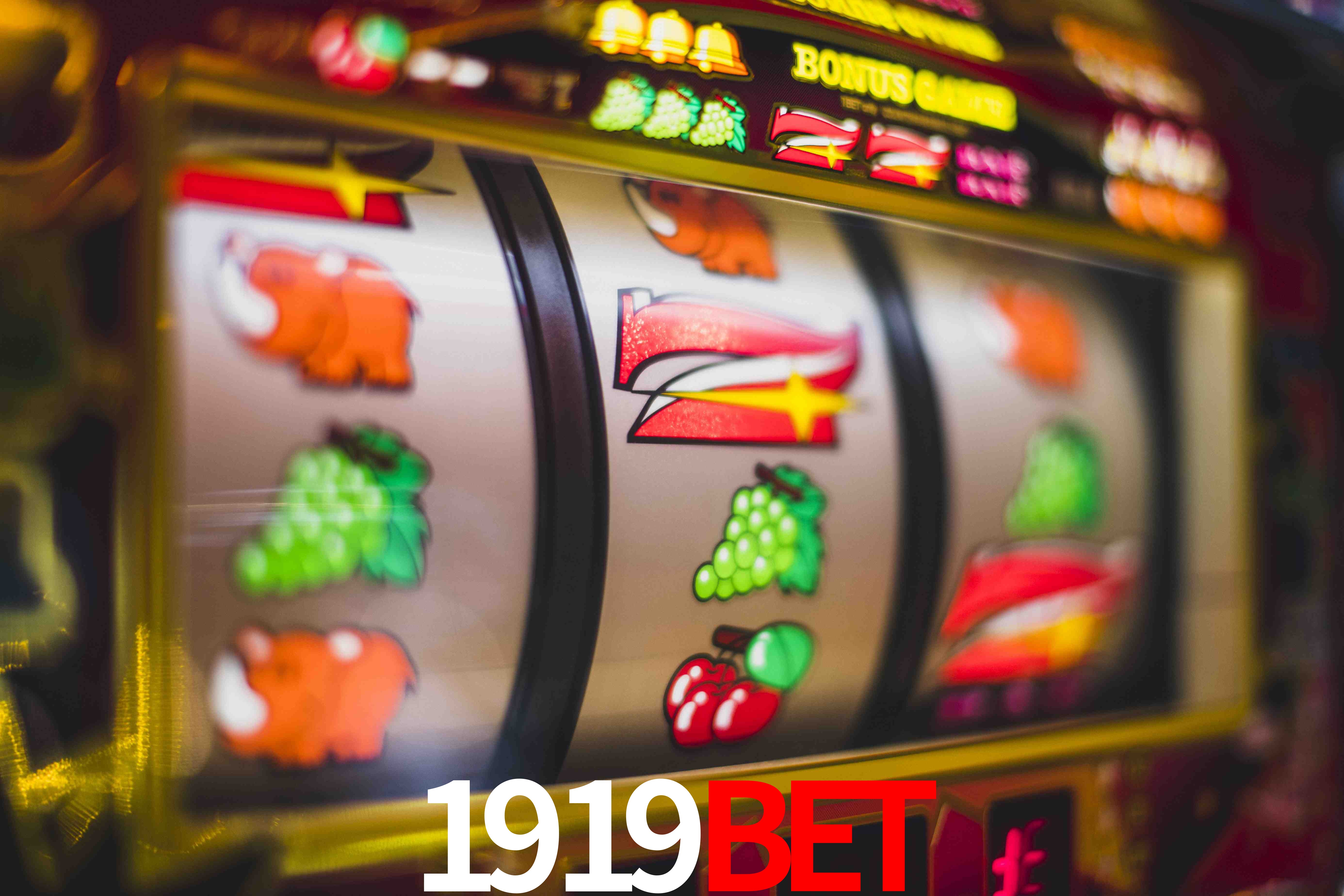Crash Games Statistics 1919bet